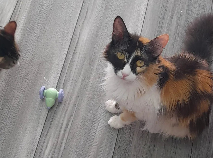 abc8c6e4cb5a1428290298790c0b5f96bajpg___PID:9456ab4a-4590-4d1e-89cf-62db05c7b562