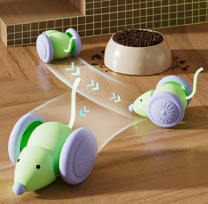 Şarj Edilebilir Kedi Oyuncağı